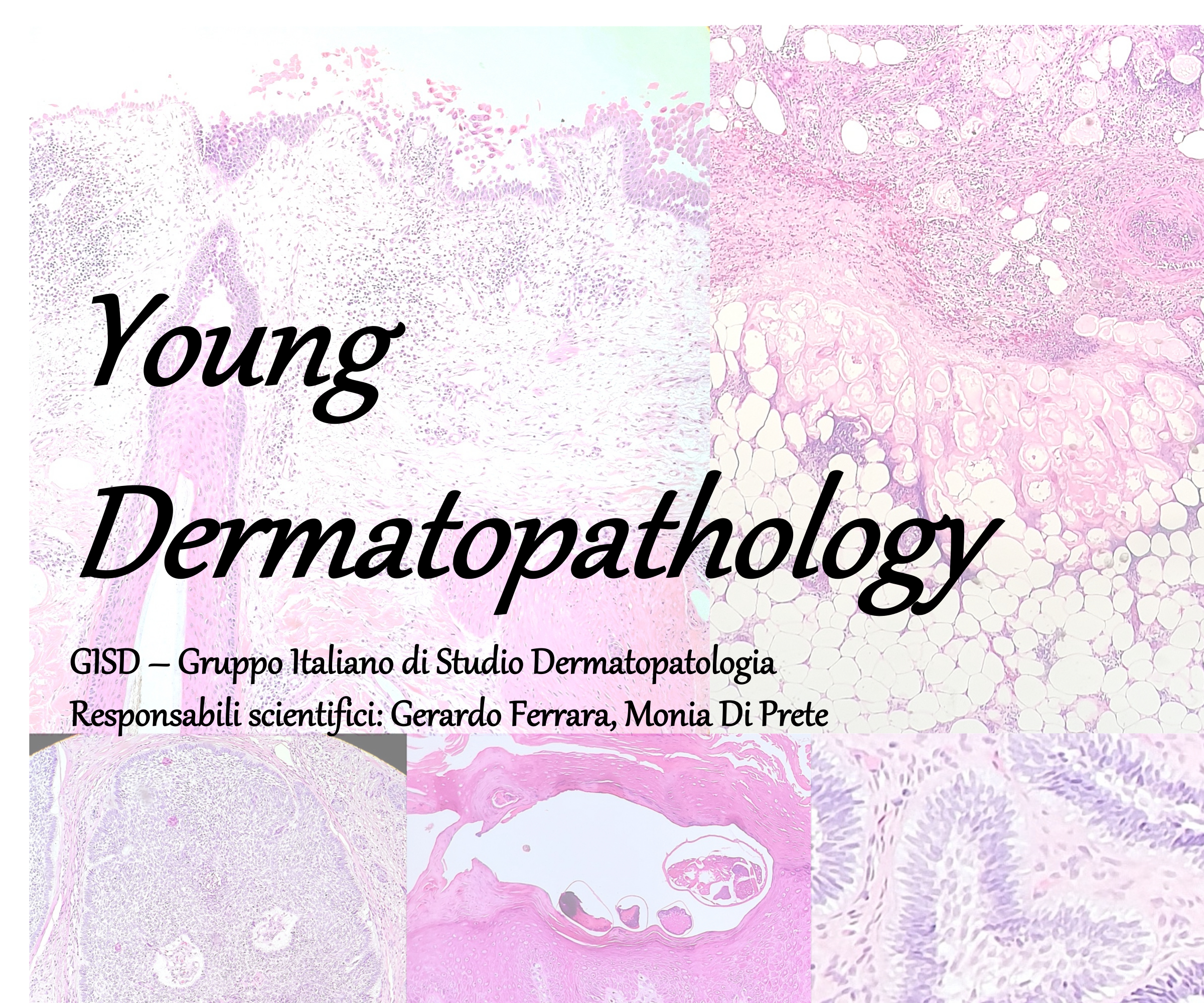 Young Dermatopathology