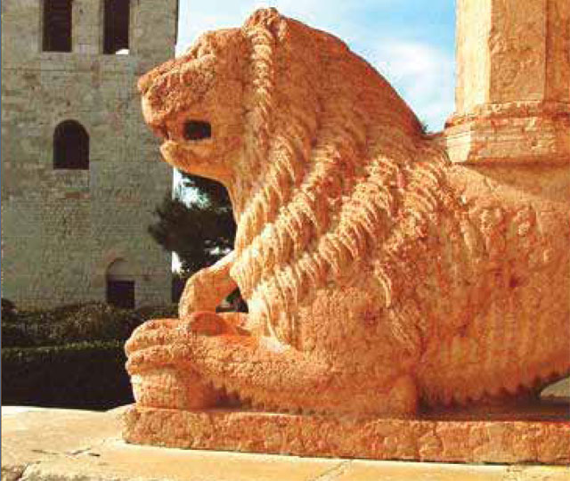 VIII Congresso Marchigiano di Dermatologia
