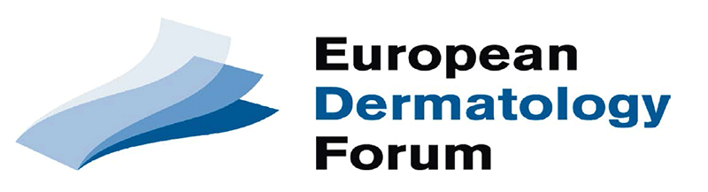 17th EDF Meeting