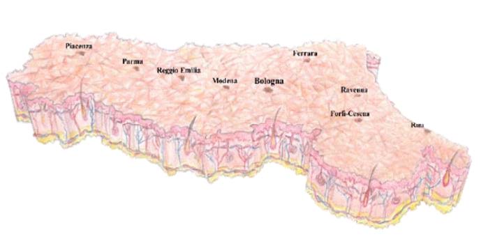 La dermatologia dell'Emilia Romagna: casi clinici