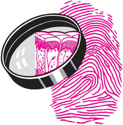 XIV Dermatopathology self assessment workshop