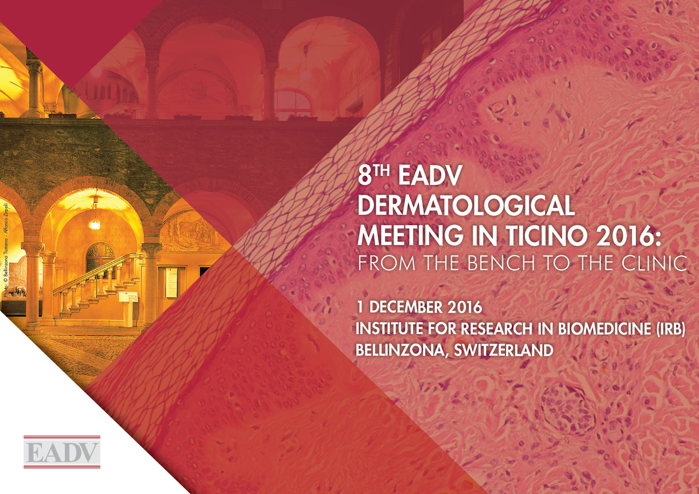 8th EADV Dermatological Meeting in Ticino